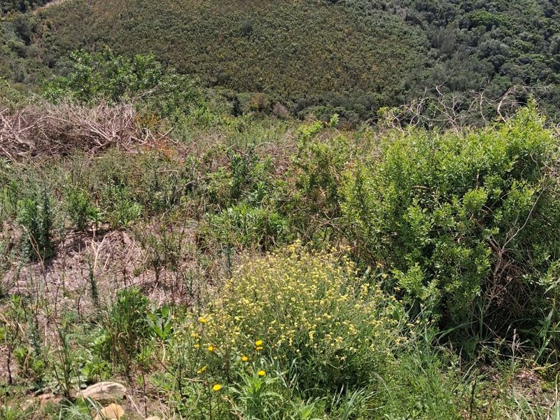 A scenic view overlooking the surrounding hilly landscape and natural vegetation, showcasing the expansive terrain of the vacant residential land.