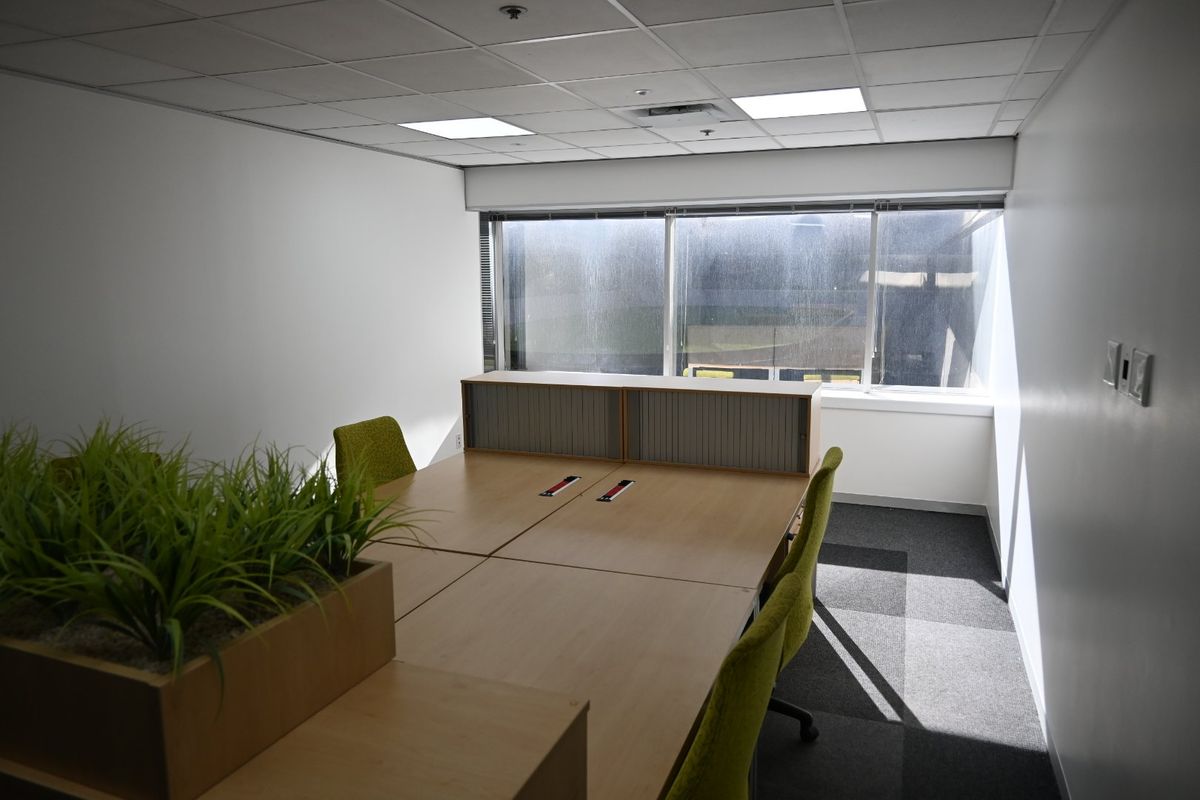 A functional office space featuring a suspended ceiling, recessed lighting, carpeted flooring, and a large window providing natural light.