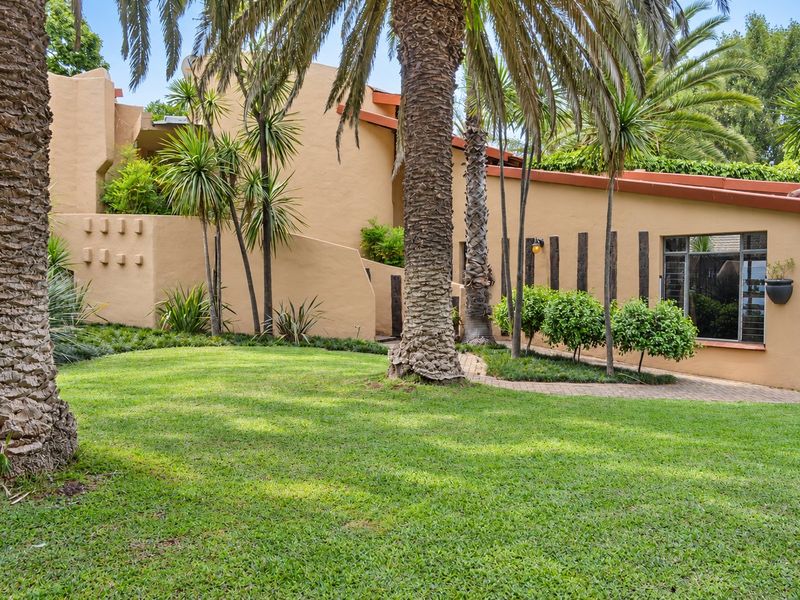 A well-maintained rear garden featuring mature palm trees, a paved walkway, and a distinctive stucco-finished exterior facade with steel-framed windows.