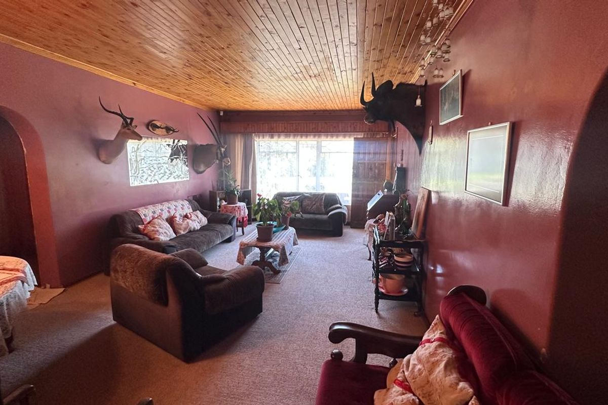 Spacious living room featuring a timber tongue and groove ceiling, an arched entryway, and large windows providing natural light.
