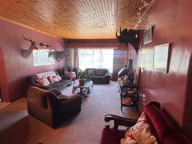 Spacious living room featuring a timber tongue and groove ceiling, an arched entryway, and large windows providing natural light.