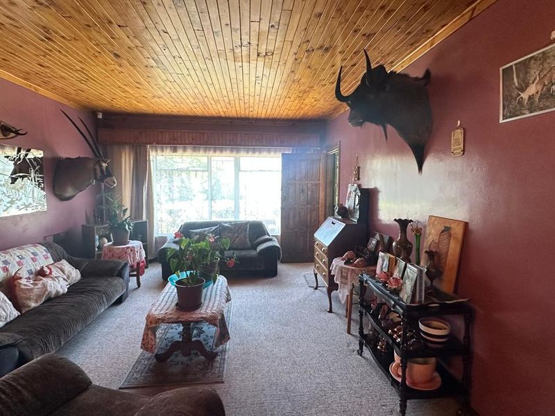 A living room featuring a timber tongue and groove ceiling, large window for natural light, and carpet flooring.