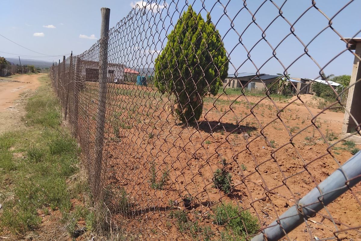 A view of a vacant residential plot enclosed by a chain-link fence with visible rust and unmaintained ground.