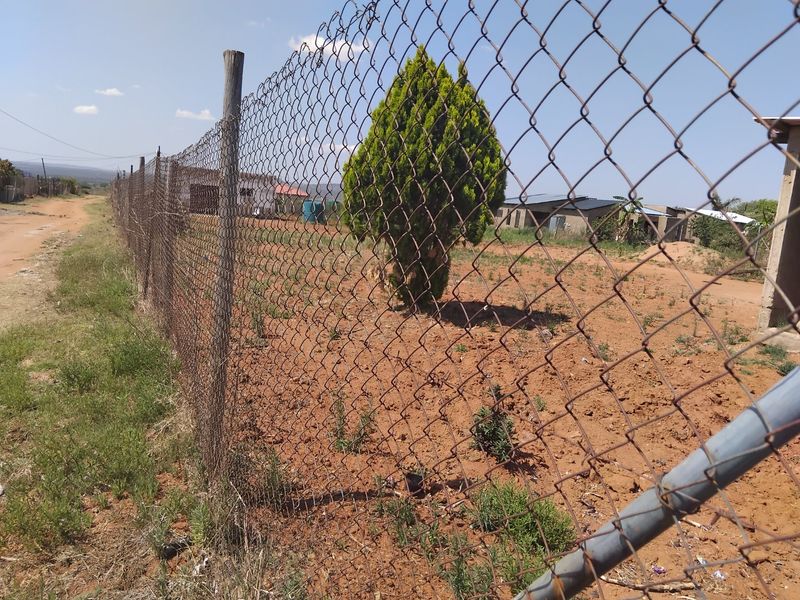 A view of a vacant residential plot enclosed by a chain-link fence with visible rust and unmaintained ground.