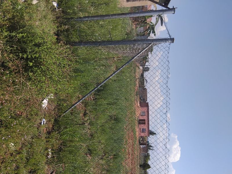 A view of a vacant residential plot enclosed by chain-link fencing with overgrown vegetation and leaning fence posts.