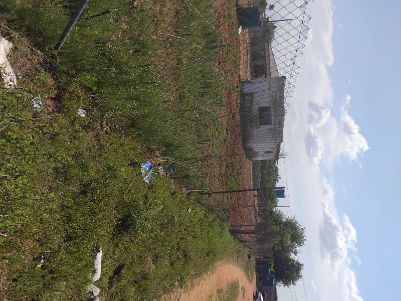 A view of a vacant residential plot featuring chain-link fencing and an unpaved access path, showing significant overgrowth.