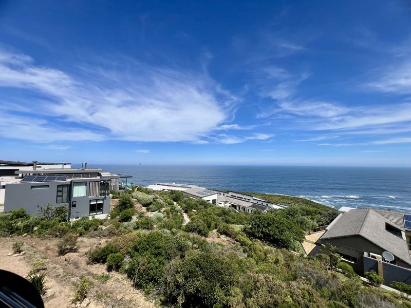 Elevated coastal view overlooking residential properties, natural vegetation, and the ocean horizon under a clear blue sky.