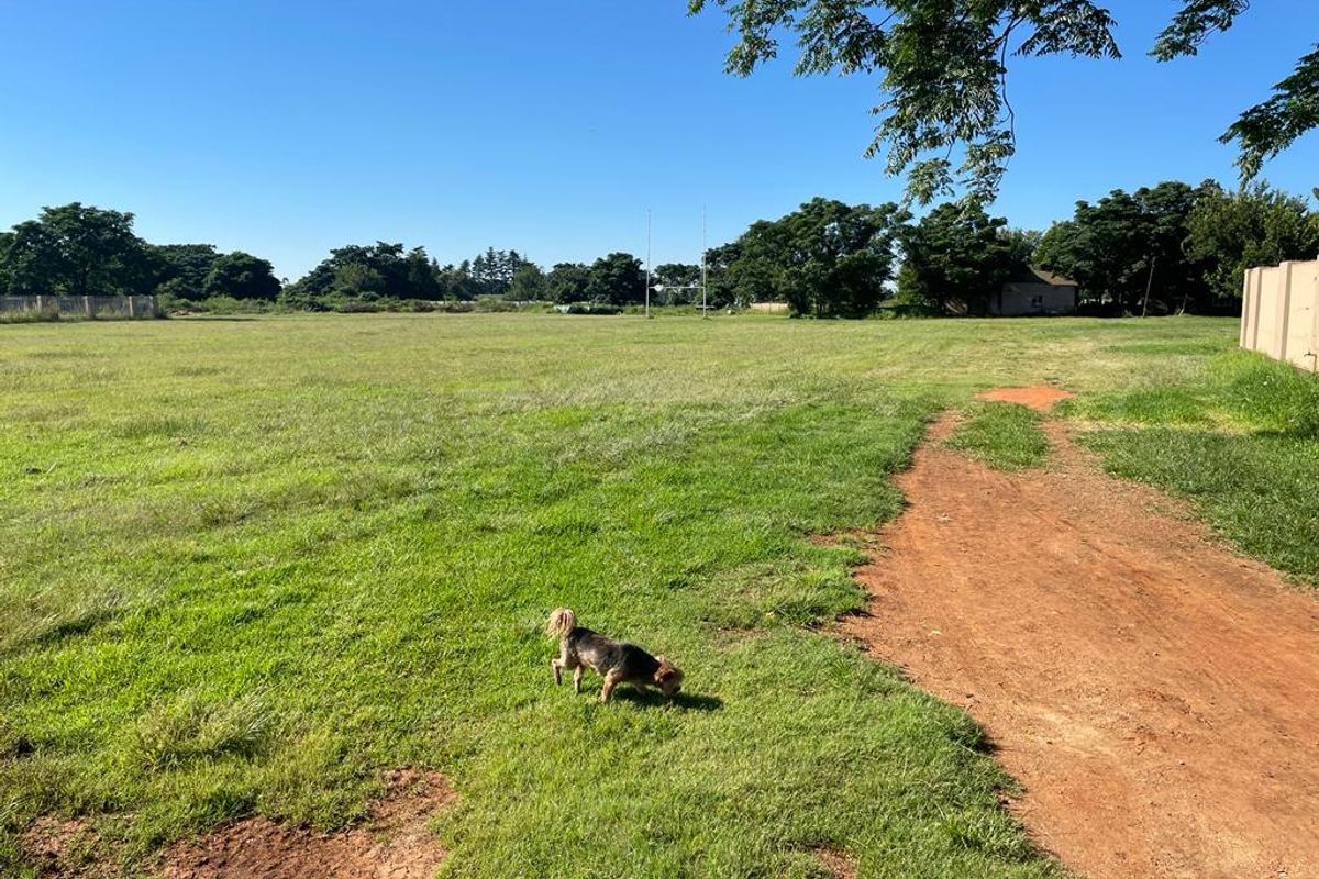A spacious, level residential plot featuring established grass, mature trees, and a perimeter boundary wall.
