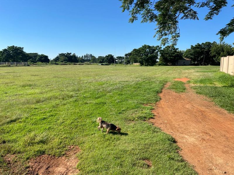 A spacious, level residential plot featuring established grass, mature trees, and a perimeter boundary wall.