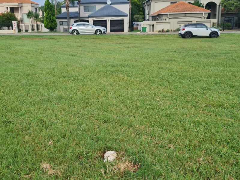 A level, grass-covered vacant residential stand situated in a developed neighborhood, offering a clear site for future construction.