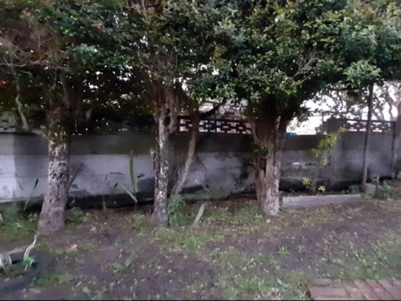 A rear garden area featuring a boundary wall with decorative screen blocks, partially obscured by mature trees and overgrown landscaping.
