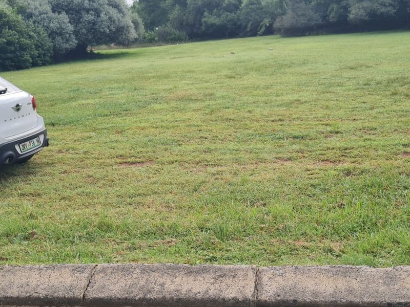 A spacious, grass-covered residential plot featuring mature trees along the perimeter and a concrete curb boundary.