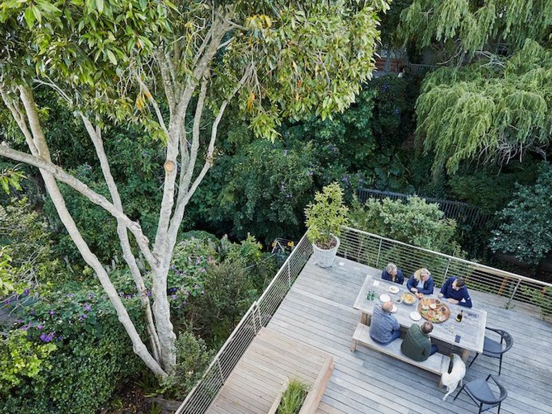 Elevated timber deck featuring a swimming pool, integrated planter boxes, and metal railings, set within a lush, mature garden environment.