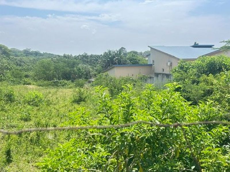 An expansive, overgrown garden area featuring natural vegetation and a perimeter barbed wire fence, with neighboring residential structures visible in the background.