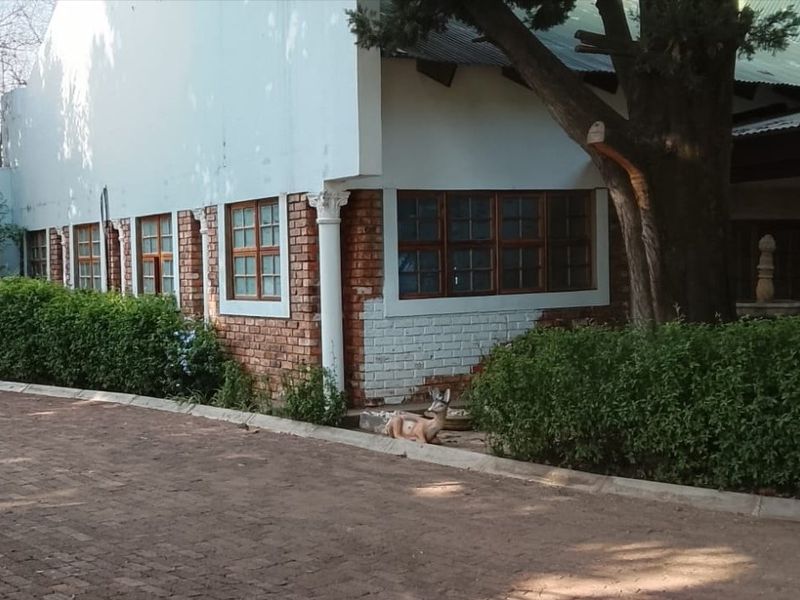 Exterior view of a commercial building featuring a brick facade, timber frame windows, and a paved driveway area with mature landscaping.