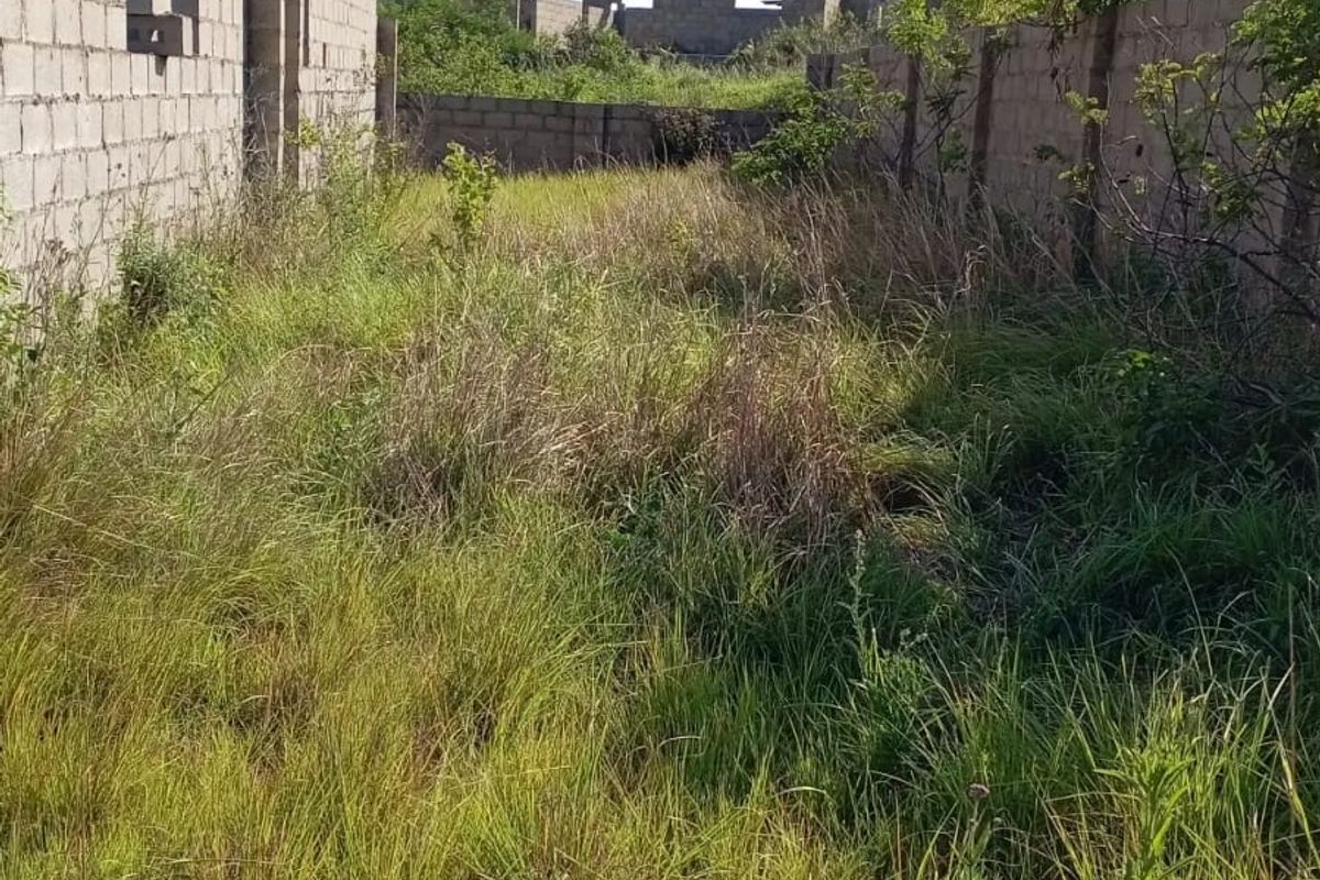 An undeveloped plot of land featuring overgrown grass and unfinished perimeter masonry walls, offering a blank canvas for future development.