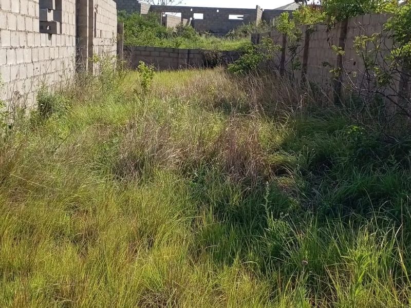 An undeveloped plot of land featuring overgrown grass and unfinished perimeter masonry walls, offering a blank canvas for future development.