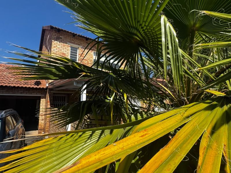 A view of the front facade of a brick apartment building with a tiled roof, partially obscured by a large palm tree.