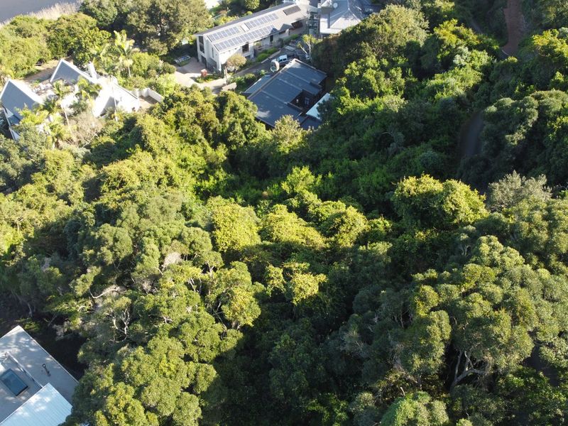 An aerial view of a densely wooded residential plot featuring mature trees and surrounding established properties.