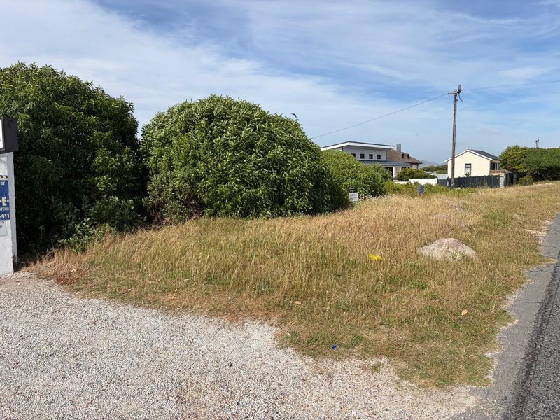 A vacant residential plot featuring natural vegetation, a gravel verge, and an adjacent utility pole in a quiet neighborhood setting.