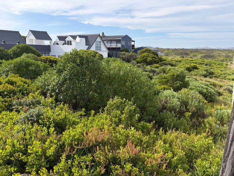 A scenic view of the natural coastal landscape and surrounding residential properties, showcasing the native vegetation and open environment of the vacant land.