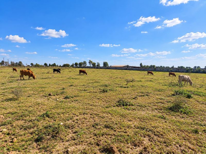 Expansive open grazing land on a farm property featuring a perimeter boundary wall in the distance under a clear blue sky.
