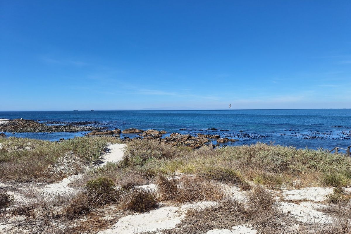 A scenic view of the coastal landscape featuring sandy dunes, rocky shoreline, and expansive ocean horizon.