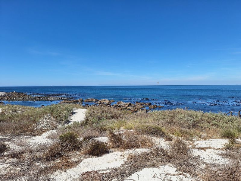 A scenic view of the coastal landscape featuring sandy dunes, rocky shoreline, and expansive ocean horizon.