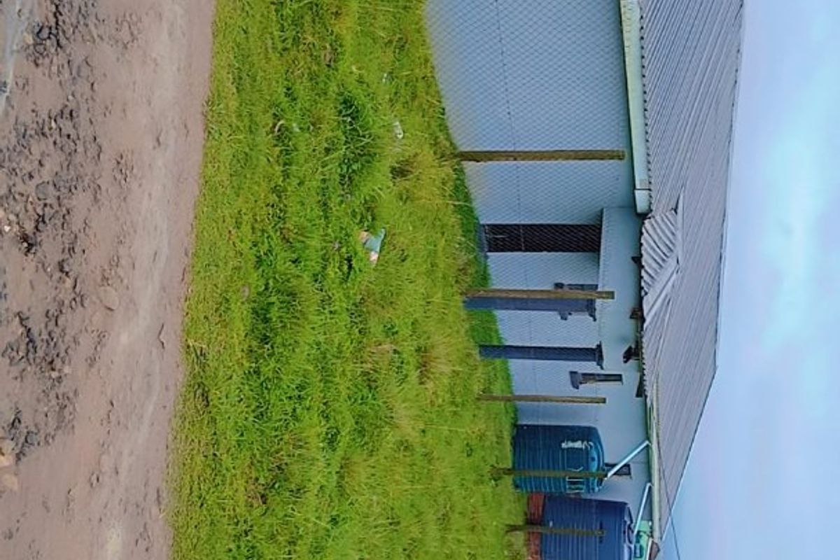 Rear exterior view of the property featuring a corrugated metal roof, security bars on windows, and external water storage tanks on a grassed plot.