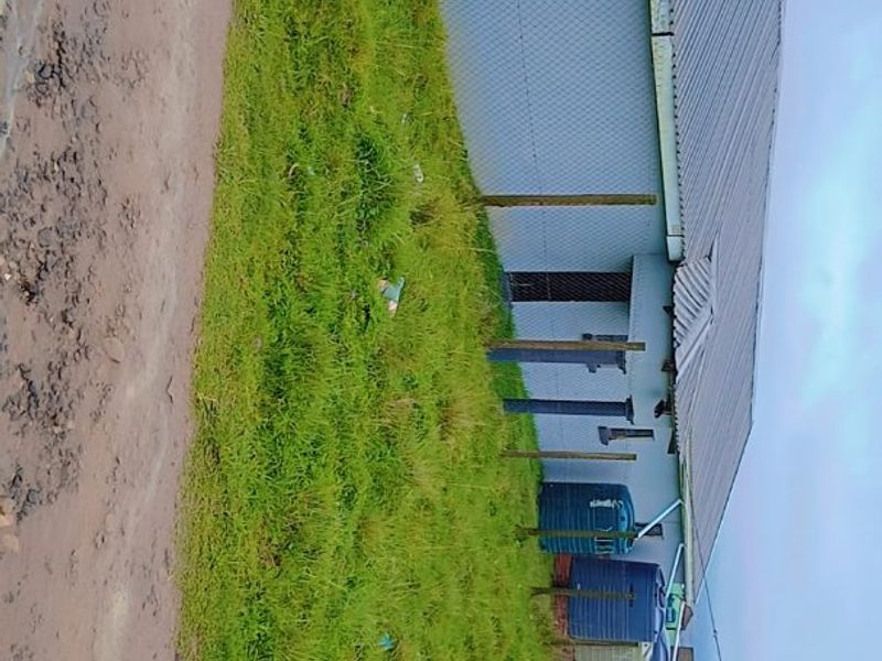 House for Sale in Ndabakazi  - Photo 2