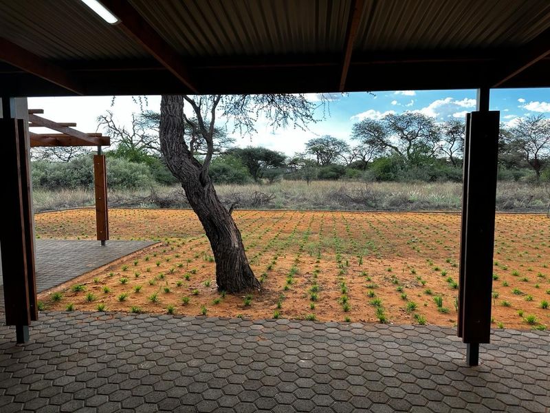 A covered outdoor patio area featuring timber beams and paved flooring, overlooking a landscaped garden with native trees and shrubs.