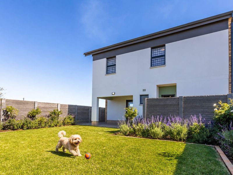 A well-maintained rear garden featuring a lawn, landscaped garden beds, and a covered patio area attached to the main dwelling.