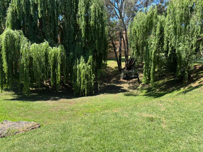 A lush, green garden area featuring mature weeping willow trees and a well-maintained lawn, providing a serene outdoor space.