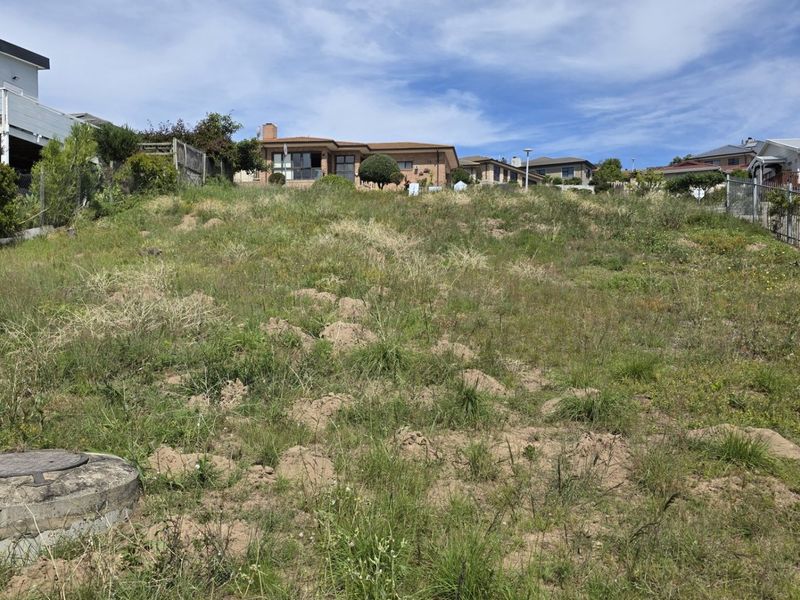 A sloped, vacant residential block featuring natural vegetation and a visible sewer inspection cover, situated in an established neighborhood.