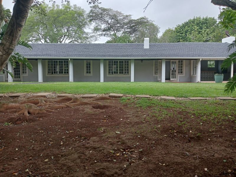 Rear view of the house featuring a covered patio, tiled roof, and established garden area.