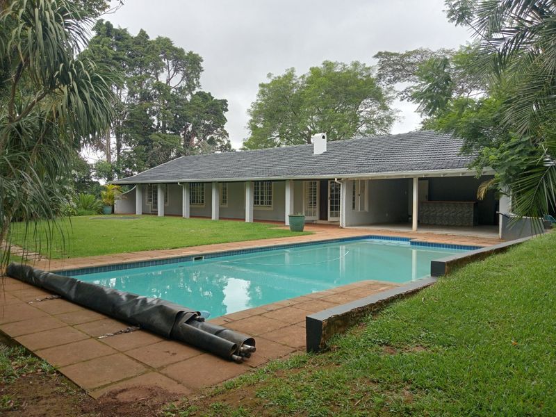 Spacious rear garden featuring a swimming pool with tiled surround, a covered patio area, and a built-in outdoor bar.