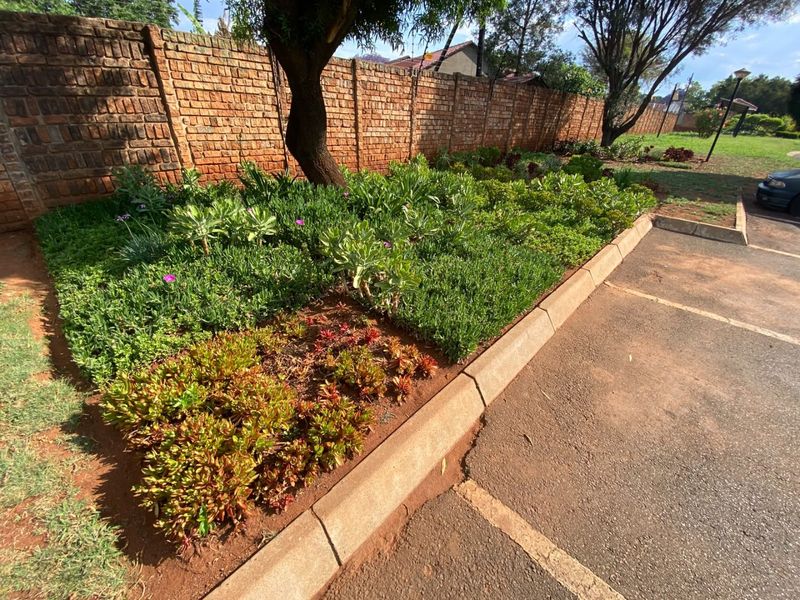 A landscaped garden bed featuring established succulents and shrubs, bordered by a brick boundary wall and concrete kerbing adjacent to an asphalt driveway.
