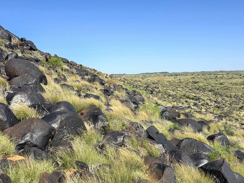 Expansive view of the natural farm landscape featuring rocky terrain and native grasses under a clear blue sky.