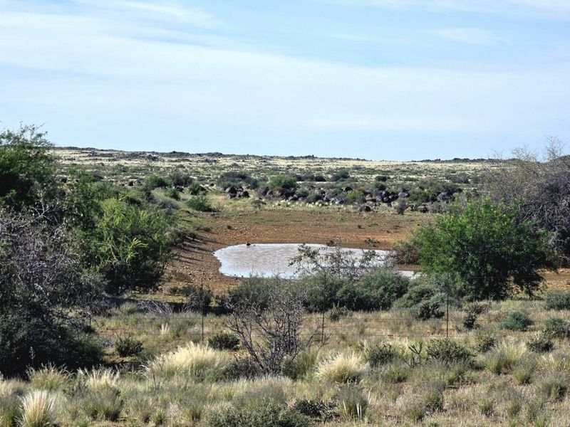 A scenic view of the farm landscape featuring natural vegetation, rocky terrain, and a small water dam enclosed by wire fencing.