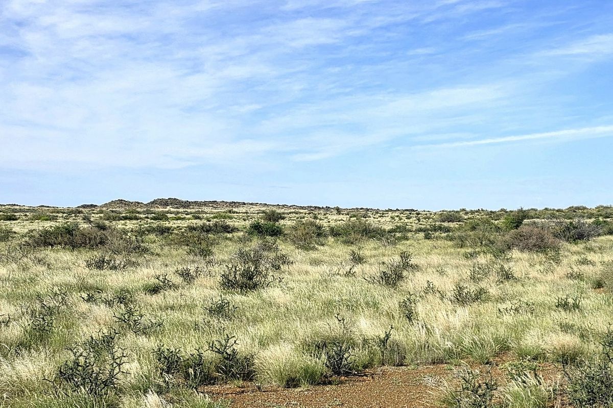 Expansive view of the natural farm landscape featuring open veld and indigenous shrubbery under a clear blue sky.