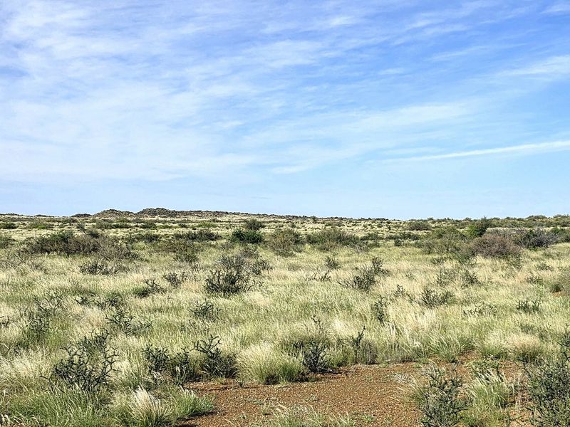 Expansive view of the natural farm landscape featuring open veld and indigenous shrubbery under a clear blue sky.