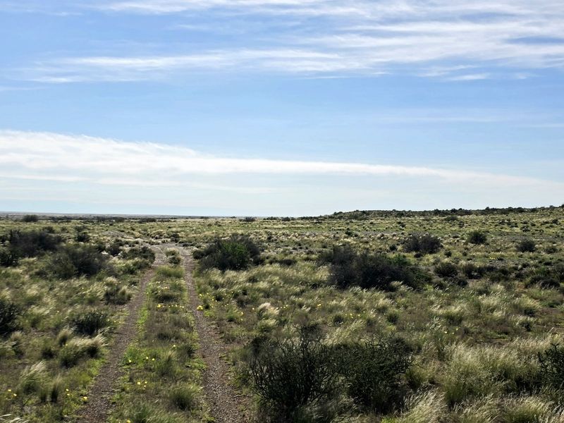 Expansive view of open farm landscape featuring natural vegetation and a dirt track leading into the distance under a clear blue sky.