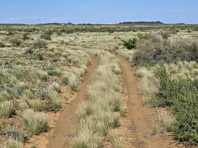 A wide-angle view of the expansive farm landscape featuring a natural dirt track winding through the native veld and shrubbery.