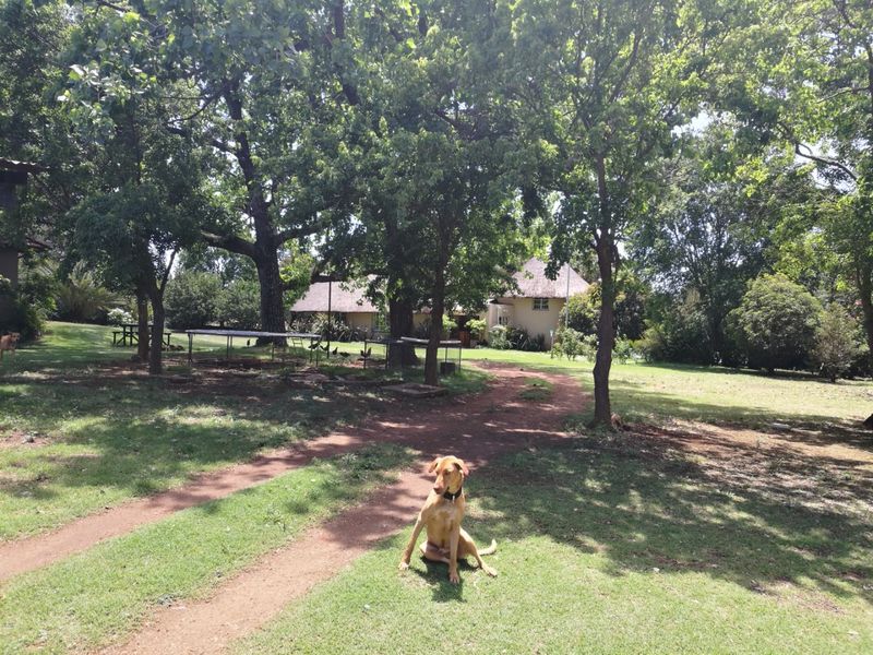 A spacious, tree-lined garden area featuring a large lawn and a dirt driveway leading toward the main farmhouse structure.