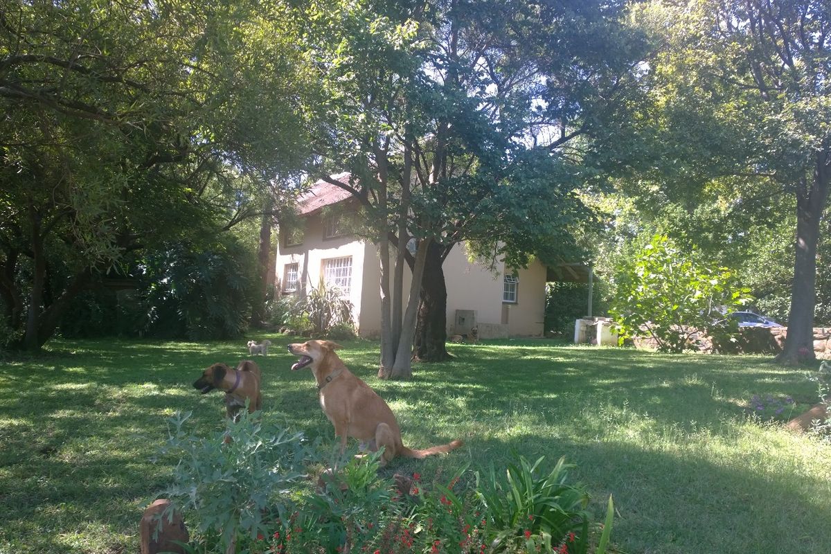 A spacious, tree-lined garden area featuring a well-maintained lawn and a view of the property's exterior facade.