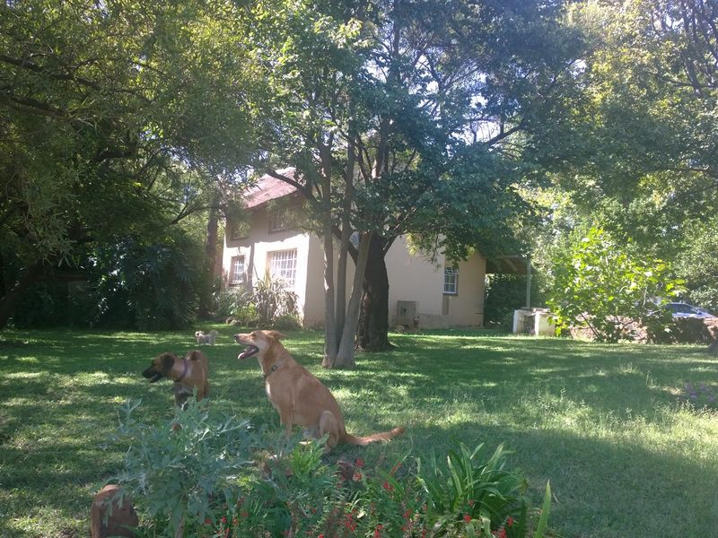 A spacious, tree-lined garden area featuring a well-maintained lawn and a view of the property's exterior facade.