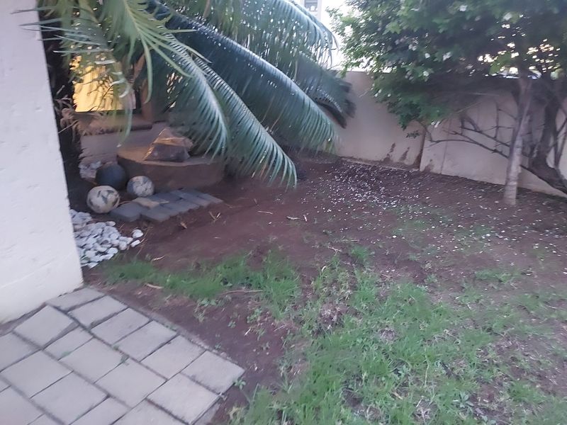A small garden area featuring a paved walkway and boundary wall, currently requiring landscaping and lawn maintenance to improve its overall appeal.