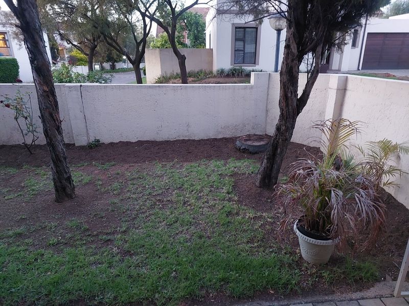 A small private garden area featuring a boundary wall and mature trees, currently requiring landscaping and maintenance to improve its overall appeal.