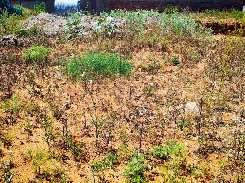 A view of an undeveloped residential plot featuring natural vegetation, a brick boundary wall, and a water storage tank.
