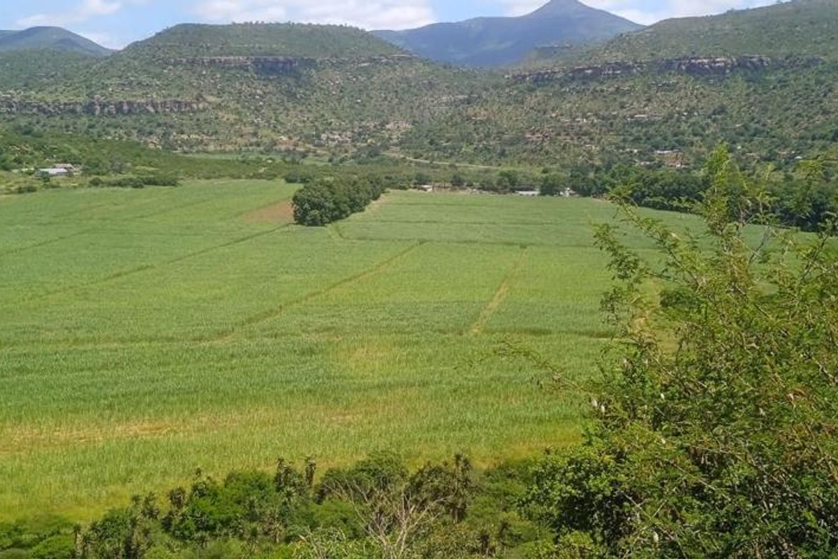 A scenic elevated view overlooking expansive green agricultural fields set against a backdrop of rolling mountains and natural landscape.